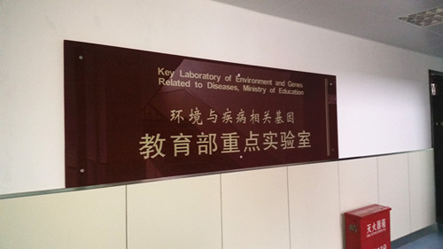 &#112;&#103;&#30005;&#23376;&#27169;&#25311;&#22120;&#40;&#35797;&#29609;&#28216;&#25103;&#41;&#23448;&#26041;&#32593;&#31449;